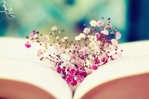 tumblr_lqilf5iYap1qmhw3ho1_500